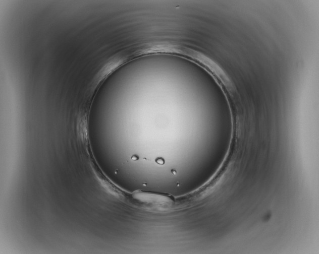 X0000115631241200911171329