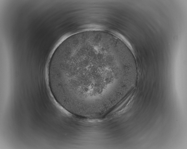 X0000115631243200911171329