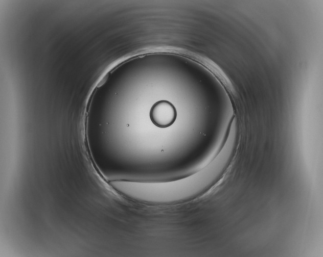 X0000115631244200911171329