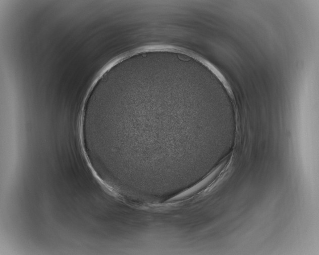 X0000115631245200911171329