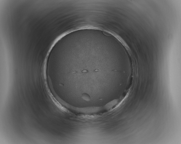 X0000115631246200911171329