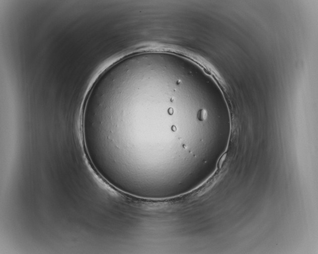 X0000115631247200911171329