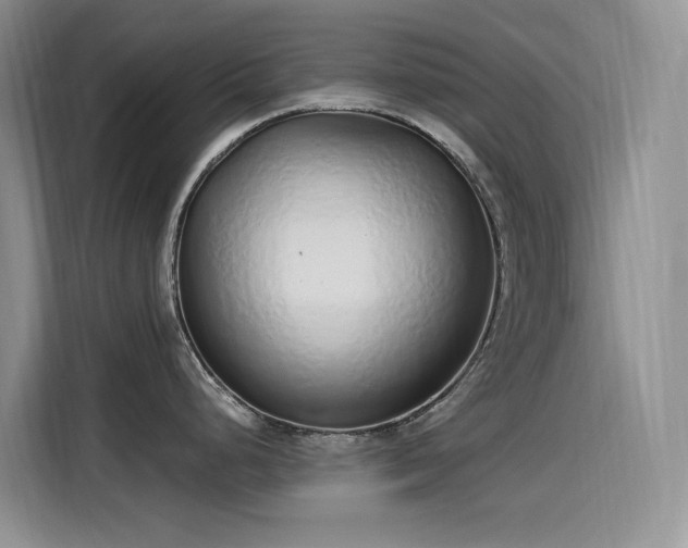 X0000115631248200911171329