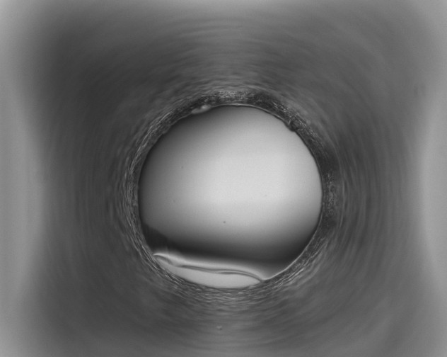 X0000115631249200911171329
