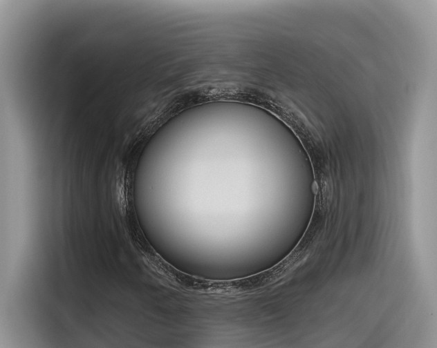 X0000115631250200911171329