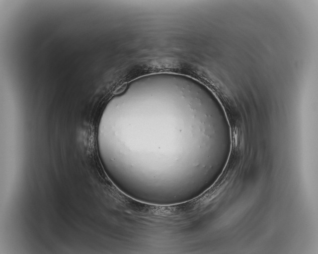 X0000115631251200911171329