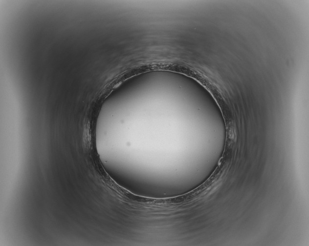 X0000115631252200911171329
