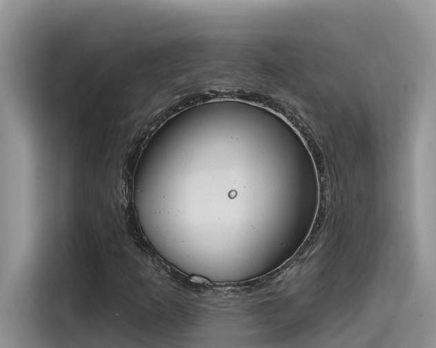 X0000115631253200911171329