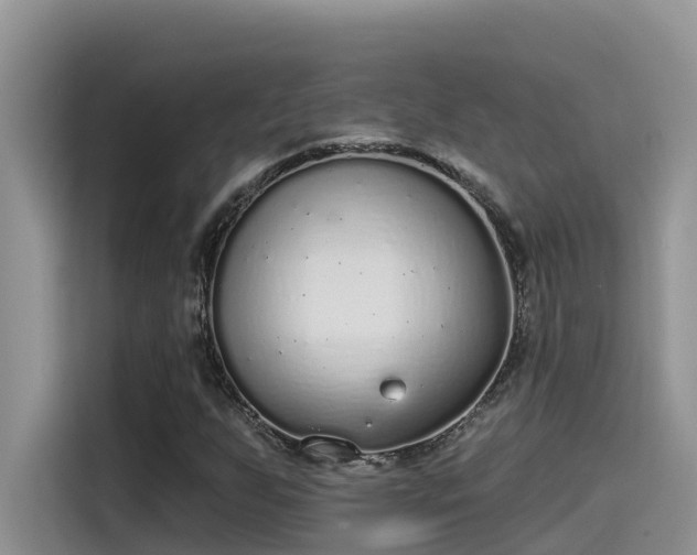 X0000115631255200911171329