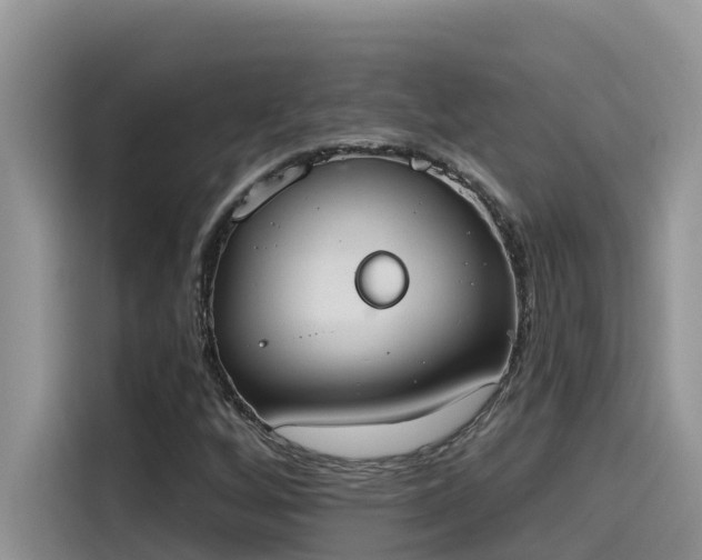 X0000115631256200911171329