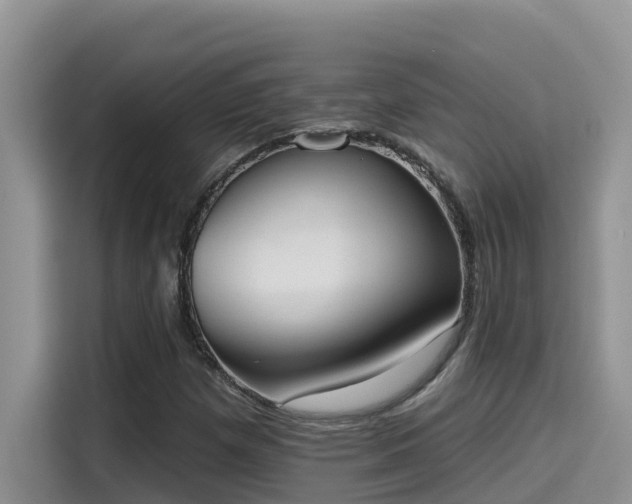 X0000115631257200911171329