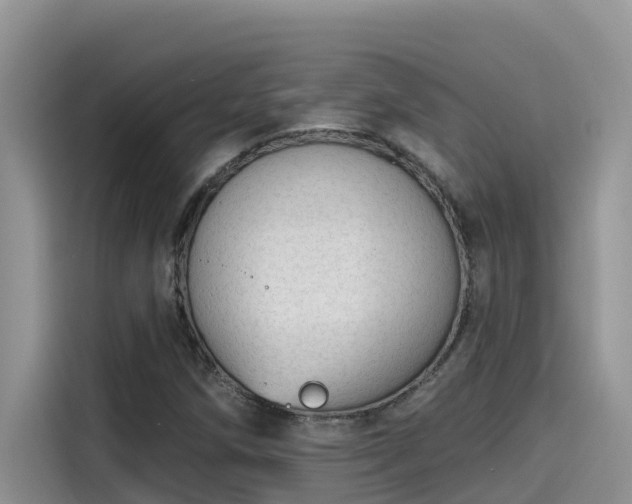 X0000115631258200911171329