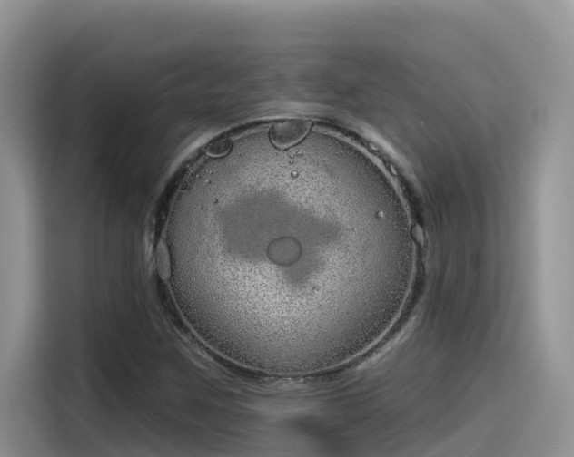 X0000115631259200911171329