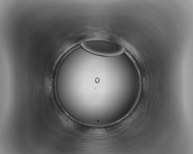 X0000115631260200911171329