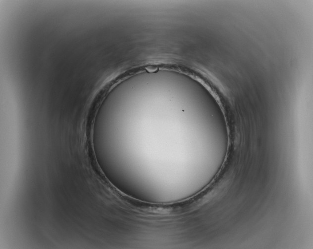 X0000115631261200911171329
