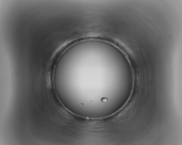 X0000115631262200911171329