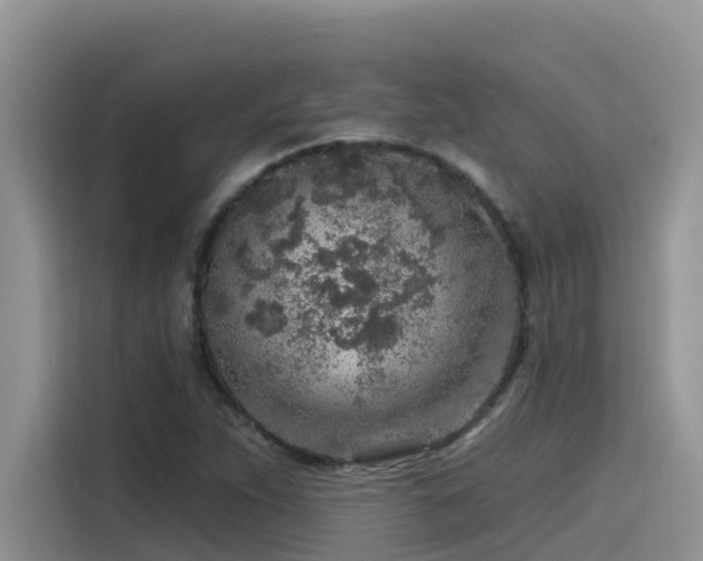 X0000115631263200911171329