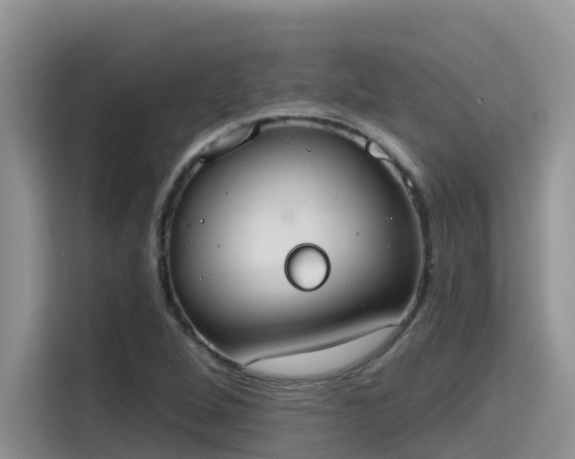 X0000115631264200911171329