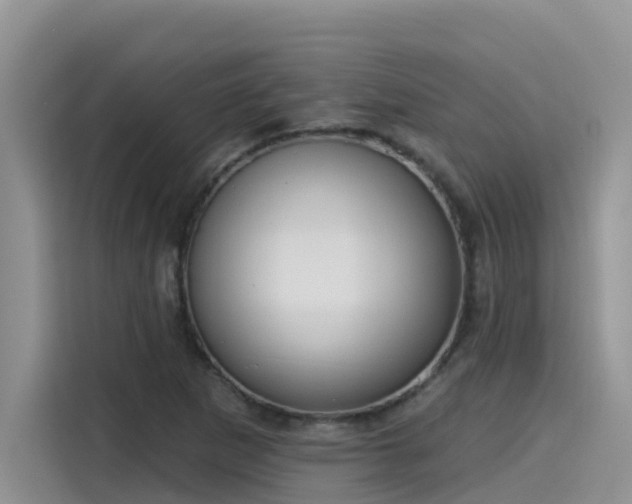 X0000115631265200911171329