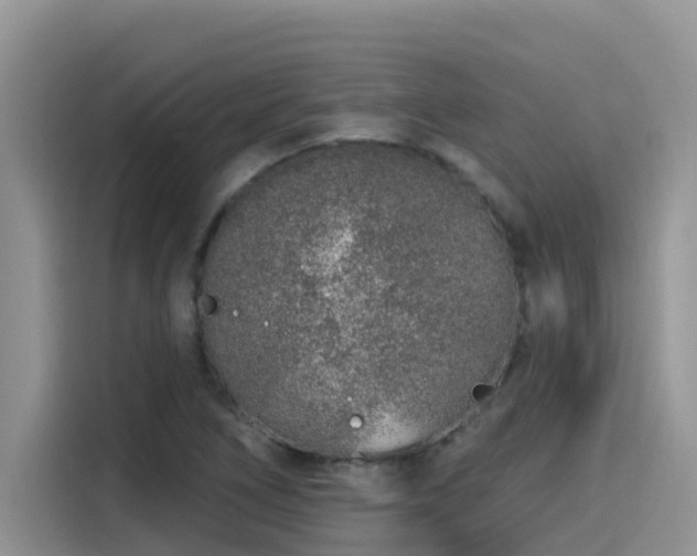 X0000115631266200911171329