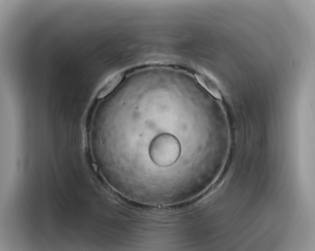 X0000115631267200911171329