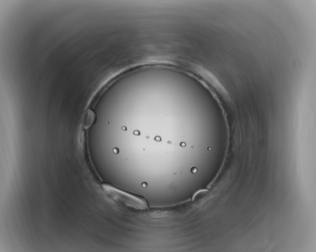 X0000115631268200911171329