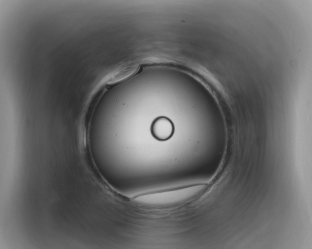 X0000115631269200911171329