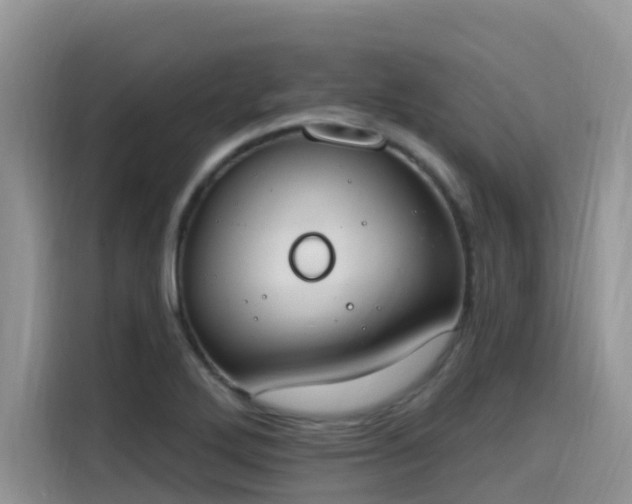 X0000115631272200911171328
