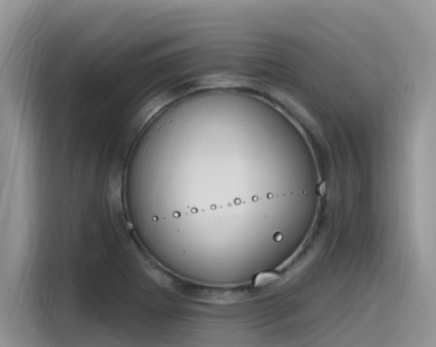 X0000115631273200911171328