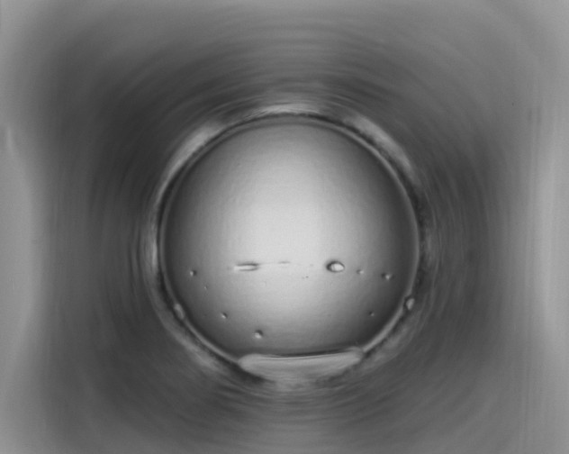 X0000115631274200911171328
