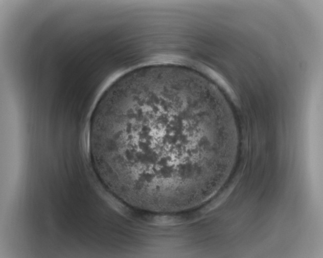 X0000115631275200911171328