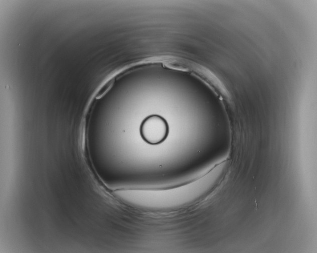 X0000115631276200911171328