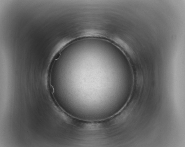 X0000115631277200911171328