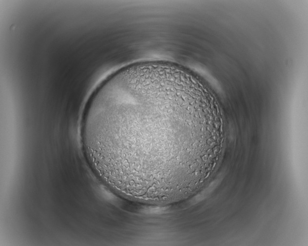X0000115631278200911171328