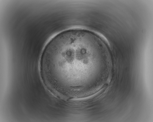 X0000115631279200911171328