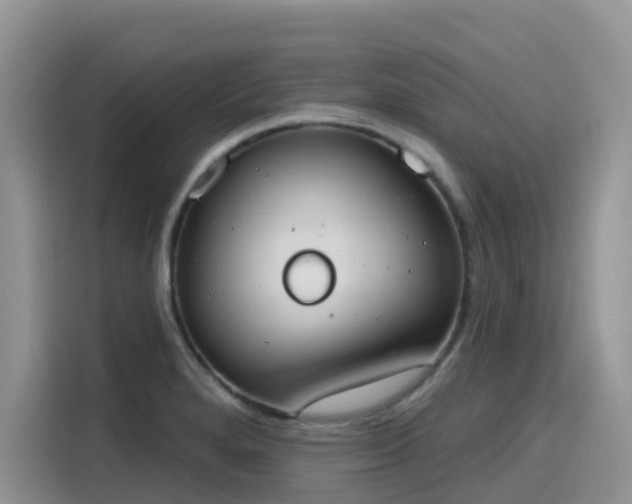 X0000115631280200911171328