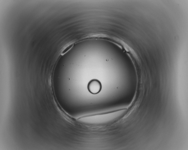X0000115631281200911171328