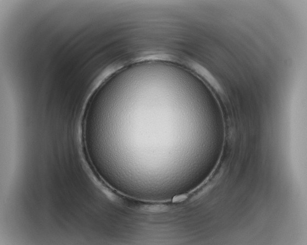 X0000115631282200911171328
