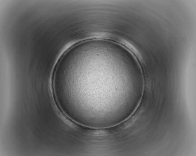 X0000115631283200911171328