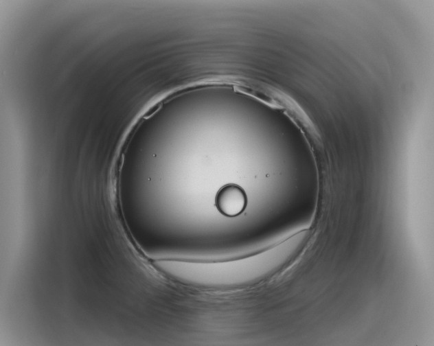 X0000115631284200911171328