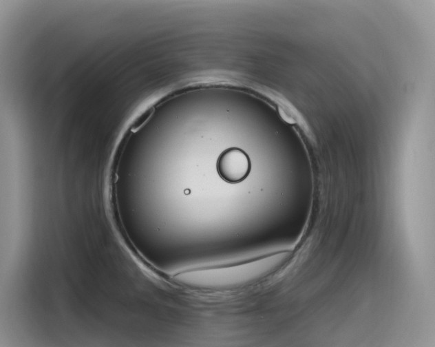 X0000115631285200911171328