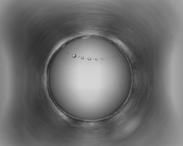 X0000115631286200911171328