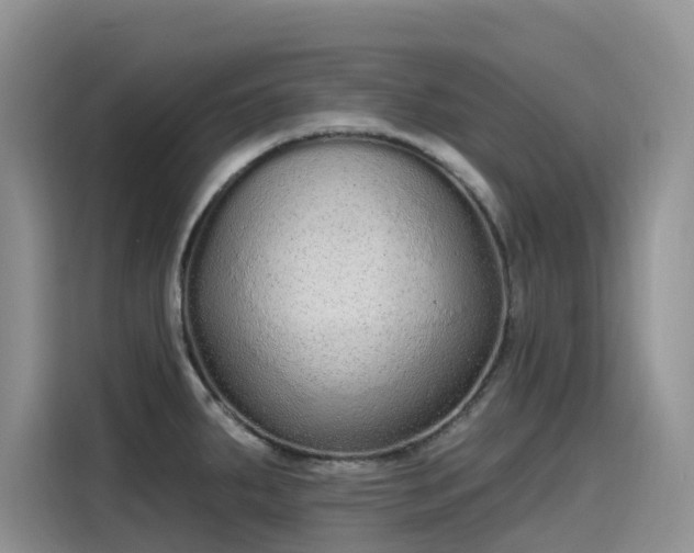 X0000115631287200911171328