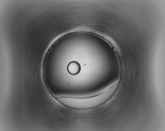 X0000115631288200911171328