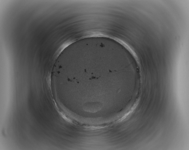 X0000115631289200911171328