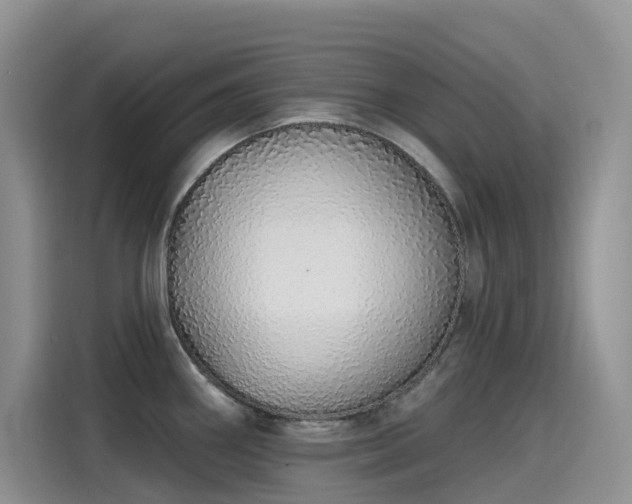 X0000115631290200911171328