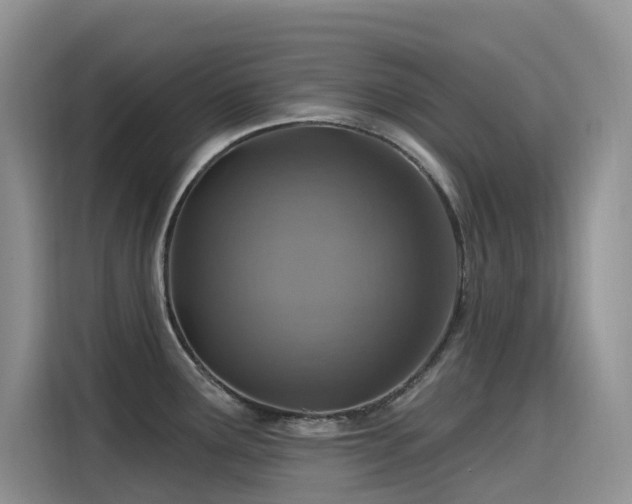 X0000115631291200911171328