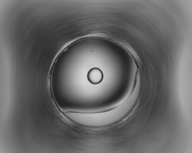 X0000115631292200911171328