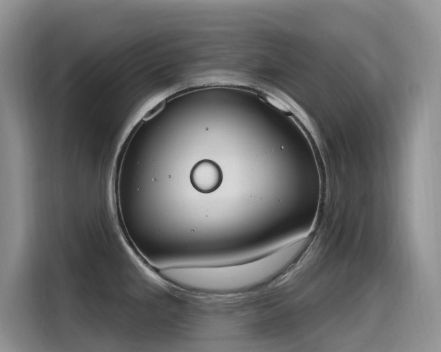 X0000115631293200911171328
