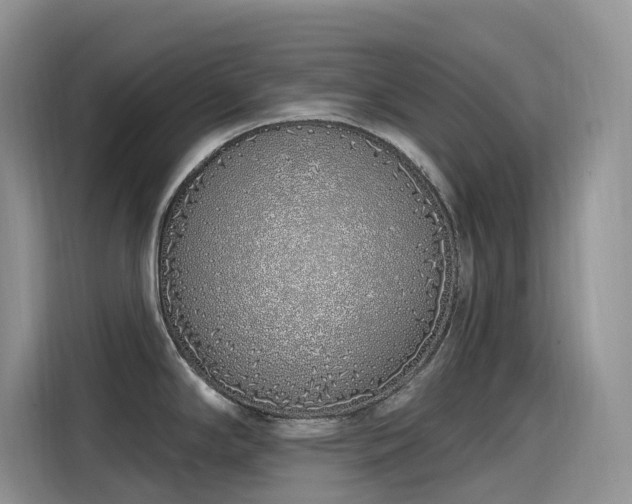 X0000115631294200911171328